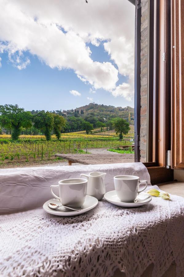 Wine Estate Rooms Paradiso Di Cacuci มอนตาลชิโน ภายนอก รูปภาพ