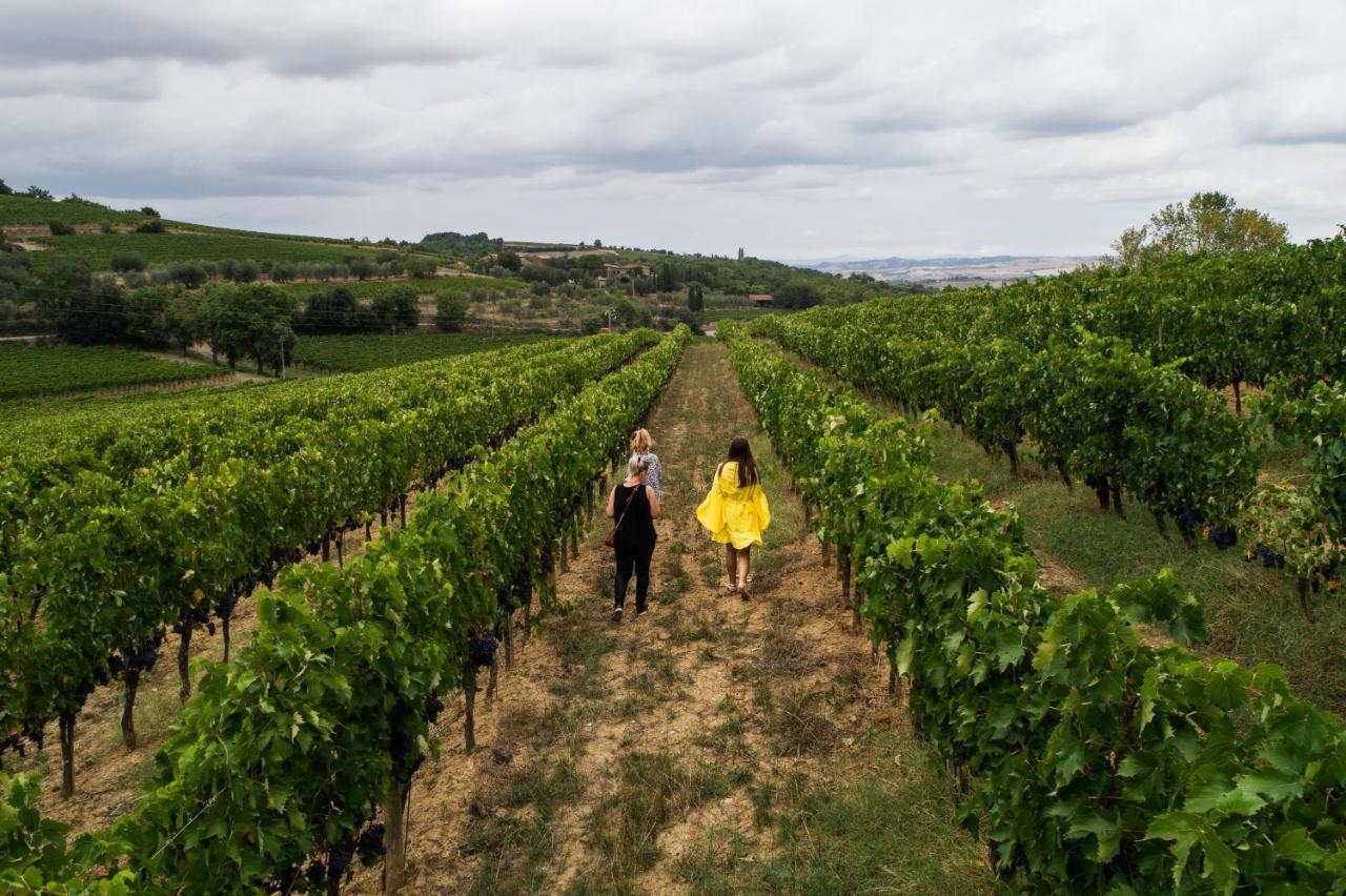 Wine Estate Rooms Paradiso Di Cacuci มอนตาลชิโน ภายนอก รูปภาพ